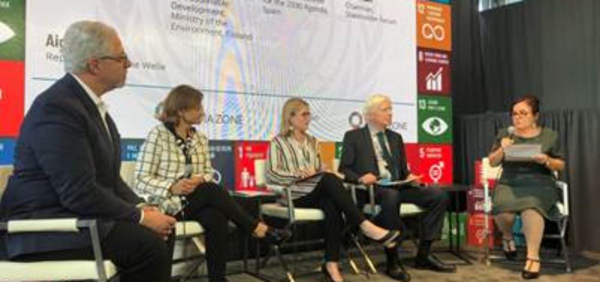 national sdg advisory bodies