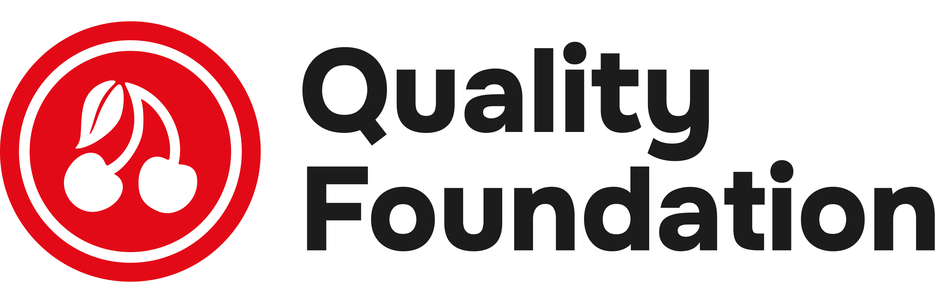 QualityNet Foundation QualityNet Foundation